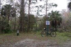 seminole_wekiwa_2