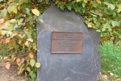 boppard_sabel_unten_7