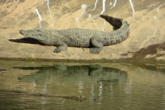 metr_krok18