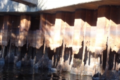 lake_monroe_13