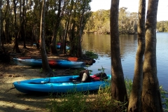 bluesprings_kayak_13