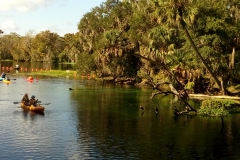 bluesprings_kayak_17
