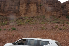 nekob_skoura_10