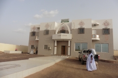 nema_1