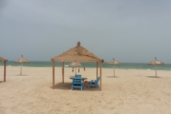 NKC_sultanes_1