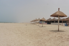 NKC_sultanes_33