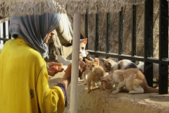 rabat_medina_66