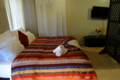 ouarzazate_tama_13