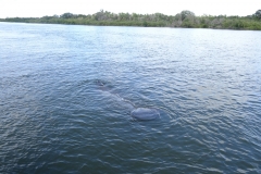 riverbreezepark_70