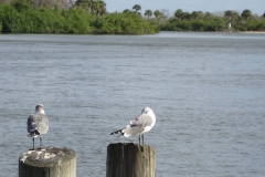 riverbreezepark_73