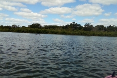 riverbreezepark_78