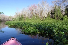 snake_creek_11