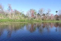 snake_creek_15