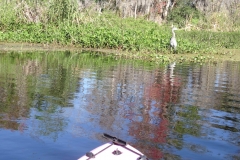 snake_creek_16