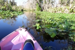 snake_creek_4