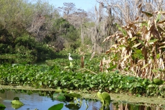 snake_creek_8
