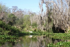 snake_creek_9