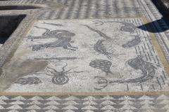 volubilis_114
