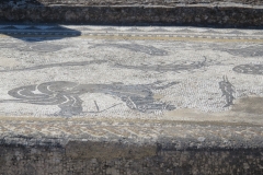volubilis_115