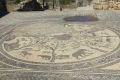 volubilis_116