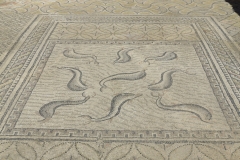 volubilis_118