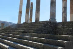 volubilis_123