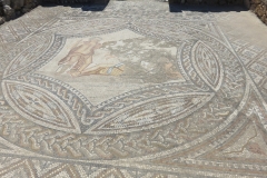 volubilis_129