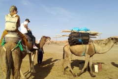 bicha_kamel_13