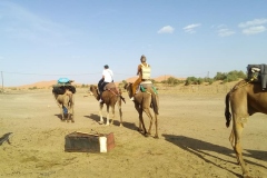bicha_kamel_16